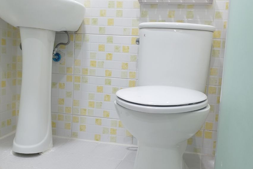 홍대연남동풀옵션 C