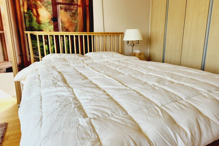 도심속의 숲속오두막집