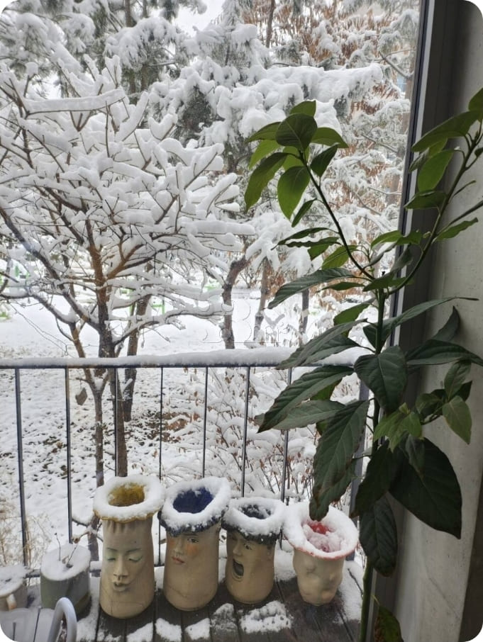 A room with a beautiful view and floor-to-cei 9th image