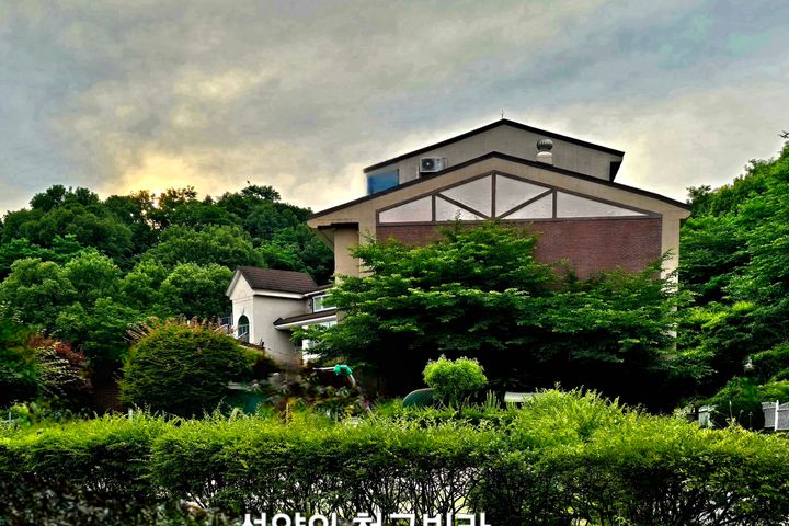 산속 자연과 새소리안전 18번째 이미지
