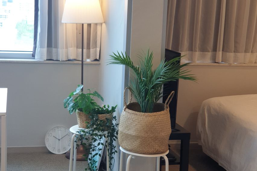 용인트리니호텔더편안3