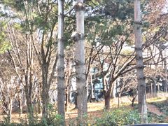 봉동 둔산 비지니스숙소 12번째 이미지