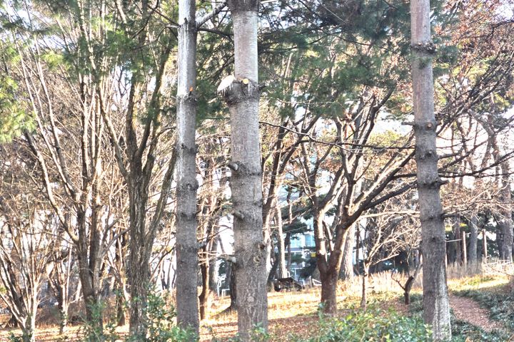 봉동 둔산 비지니스숙소 12번째 이미지