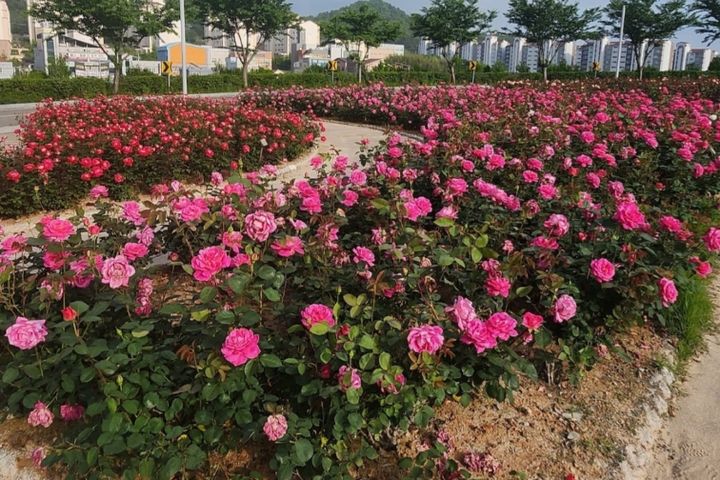 오션뷰 핫플 스위트룸 15번째 이미지