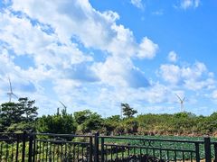제주도 신축 아파트 13번째 이미지