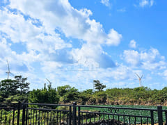 New apartment in Jeju Island 13th image