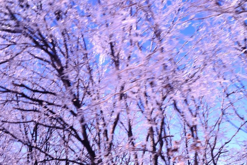 산속도시 도심아파트^