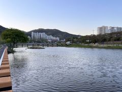조용한 산책, 힐링의 12번째 이미지