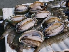 🌊양양 인구해변 풀옵션 16번째 이미지