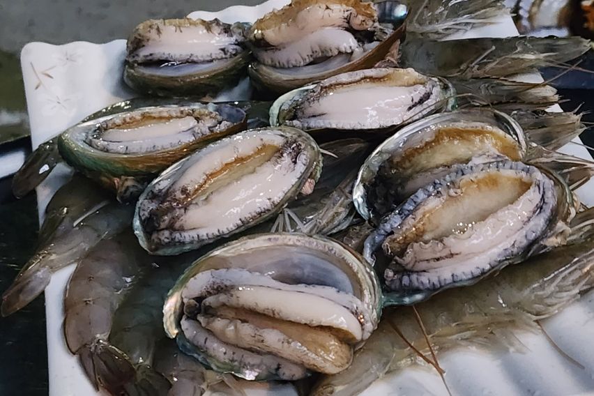 🌊양양 인구해변 풀옵션 16번째 이미지