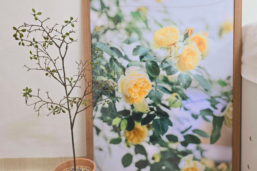 한티/대치/선릉(2층)