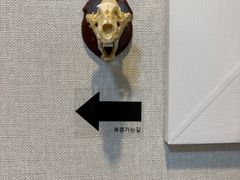 Room No. 301 15번째 이미지