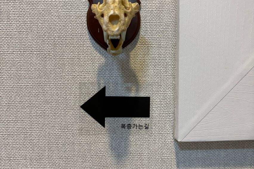 Room No. 301 15번째 이미지