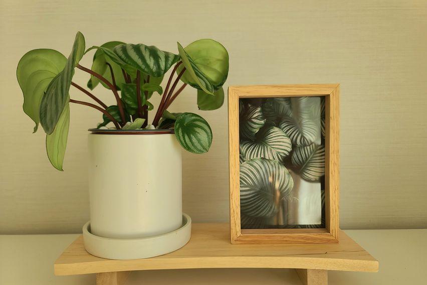 ⑥광명역 가산동 하안동 6번째 이미지