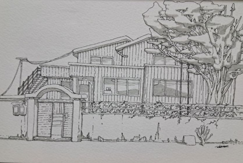 춘천 공지천 감나무집