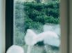 감귤밭 드문 white 10번째 이미지