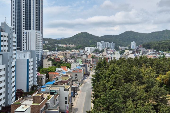 지니하우스 13번째 이미지