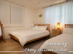 Dreaming Cherry Blossoms in Jinhae 1th image