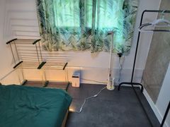 포레스트 in 임학 7번째 이미지
