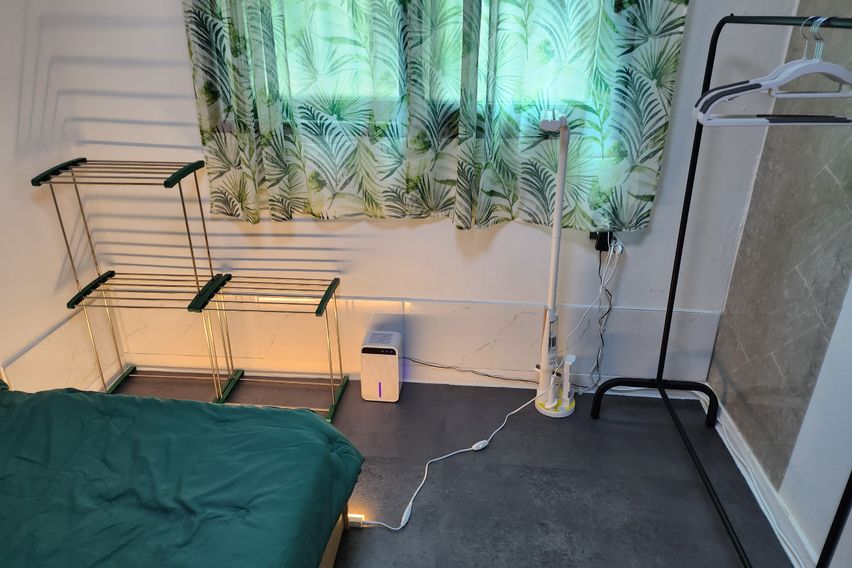 포레스트 in 임학 7번째 이미지