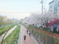 고대병원/동대문/명동 17번째 이미지
