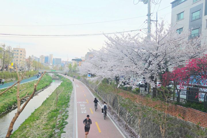고대병원/동대문/명동 17번째 이미지