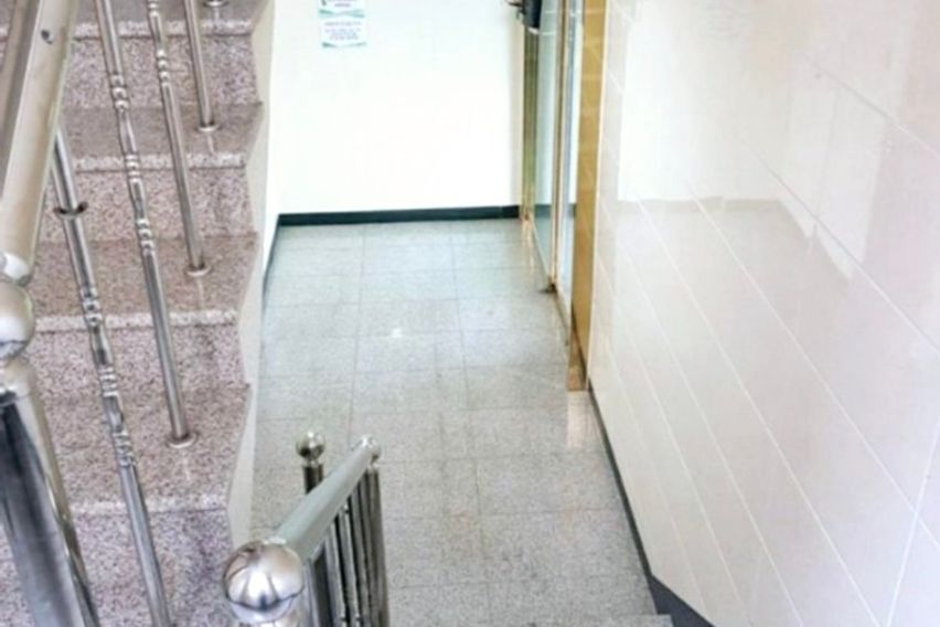 (최대3인)반려동물가능