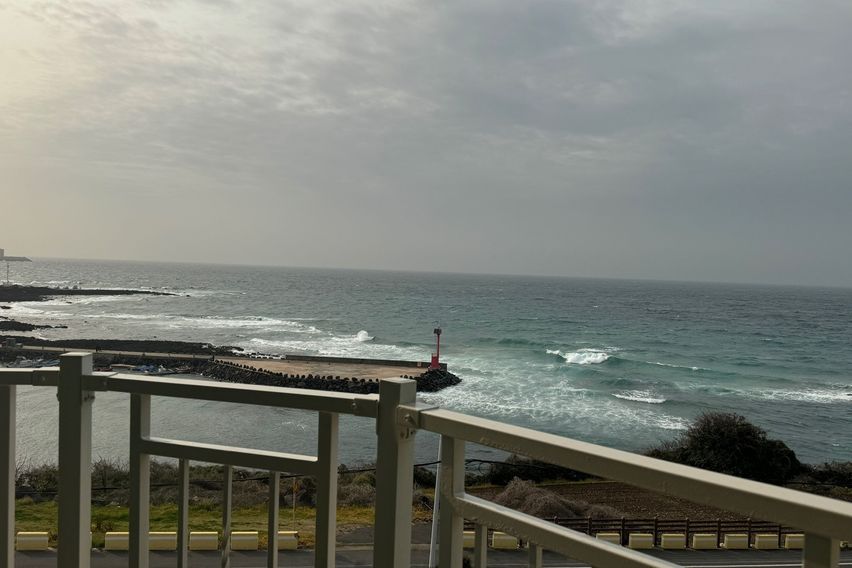 [A31]애월/성수기