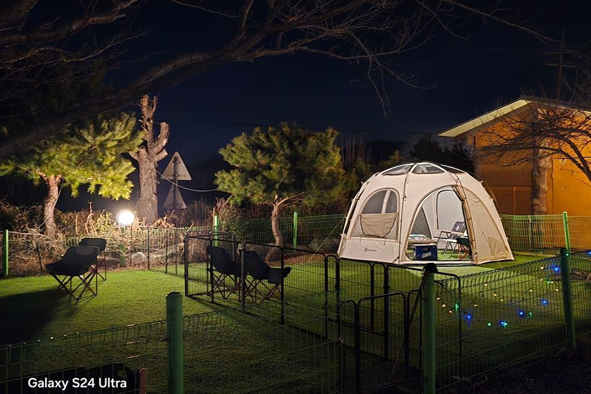 통나무복층 반려견동반