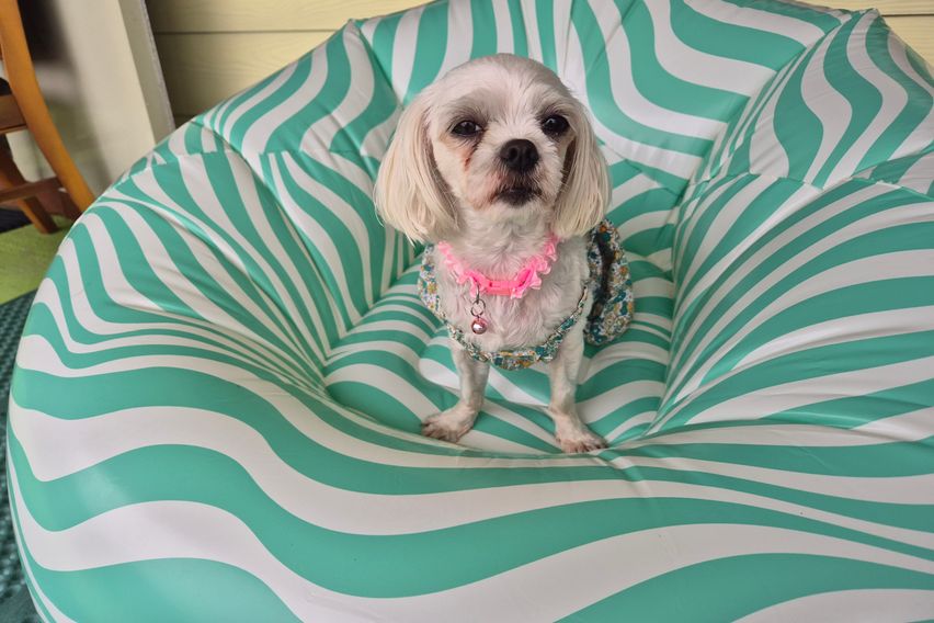 마당넓은 하늘별빛팬션