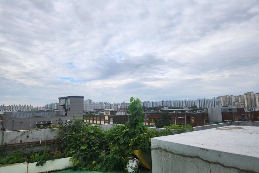 2아주대 광교호수 도보