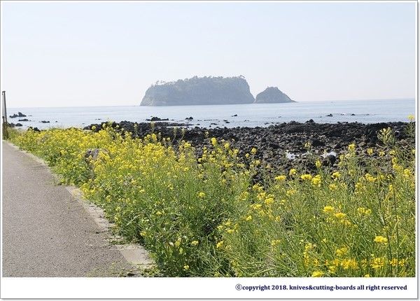 잔디마당 독채1.5형D