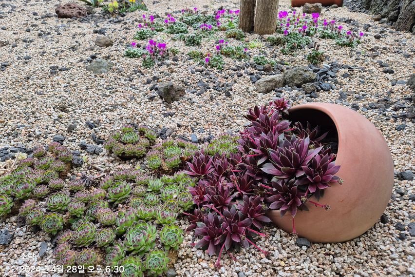 언덕에서보는바다뷰2층