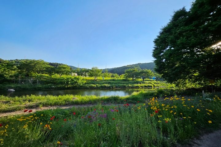 용인집 6번째 이미지