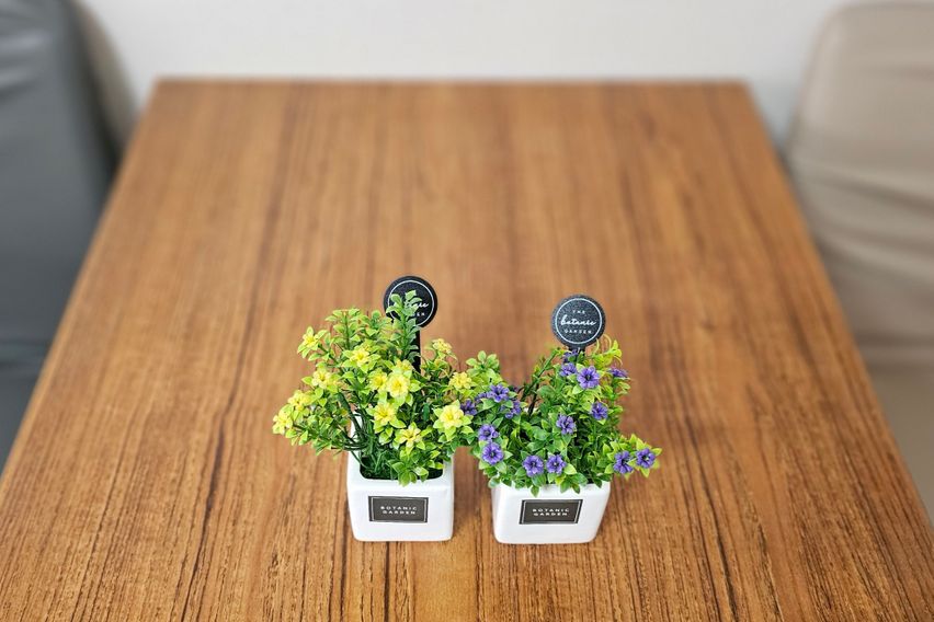 오송조치원 2인 풀옵