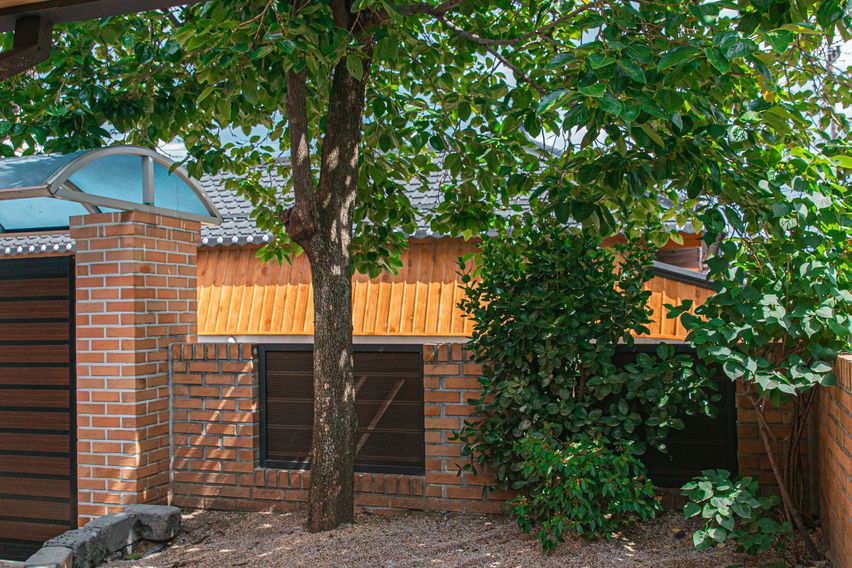 속초살이의모든순간을담은 18번째 이미지