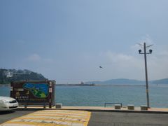 오션 2번째 이미지