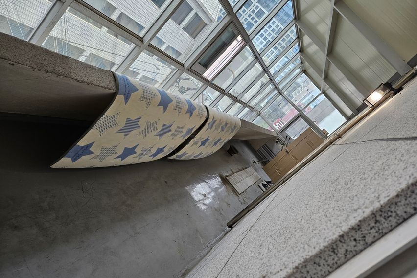 첼로하우스 505호