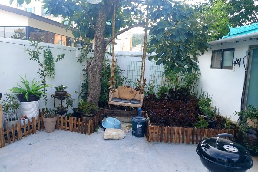 포항 홍시네 앞마당