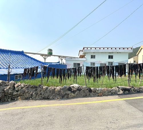 청사포 시골살기 오션뷰