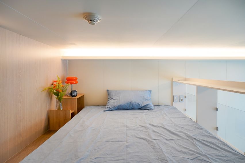 미금/정자🐕댕냥이OK