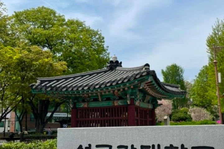 1 minute to Sungkyunkwan University / 8 minut 18th image