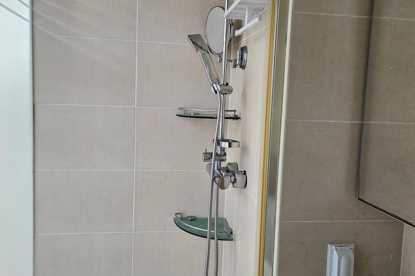 메이준_1월특가