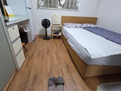 삼성역일주일기준/최저가 0번째 이미지