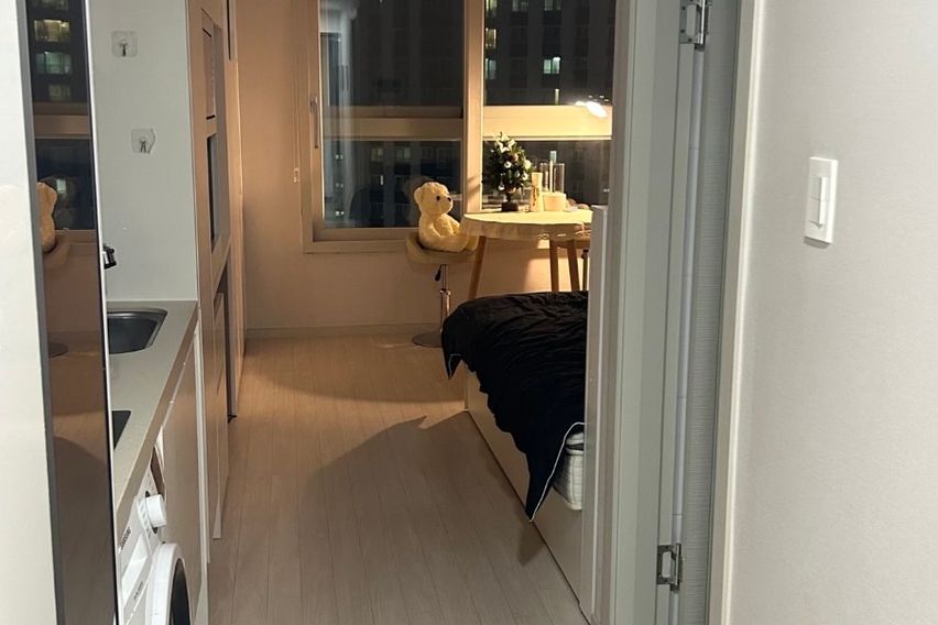 야당 와인,소주한잔..