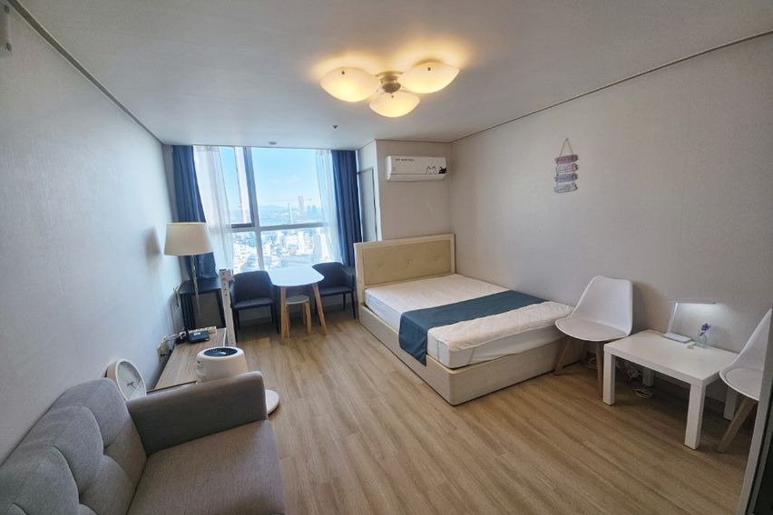 합정역1초홍대한강뷰애견