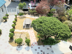River House (Semi-basement) 14th image