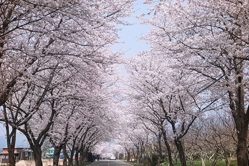 구례 황토방쉼터/세심정 13번째 이미지