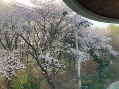 서래마을 산 전망 1번째 이미지