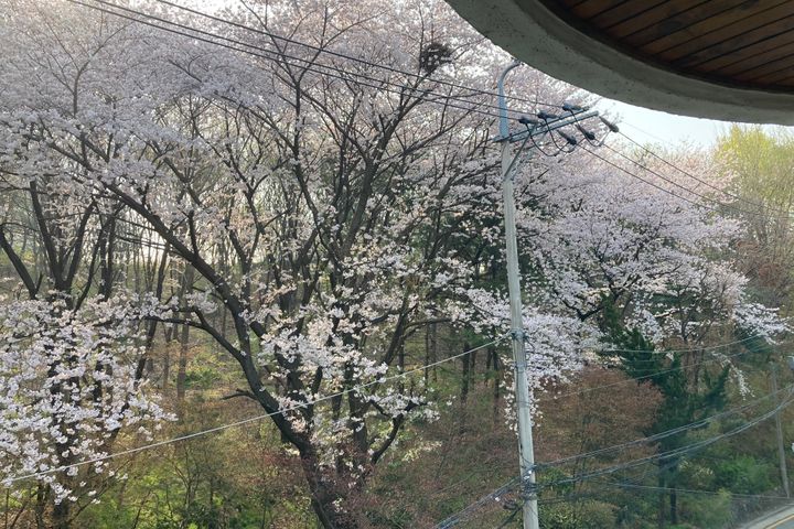 서래마을 산 전망 1번째 이미지